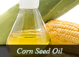 Corn Seed Oil