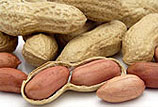 Groundnut Seed